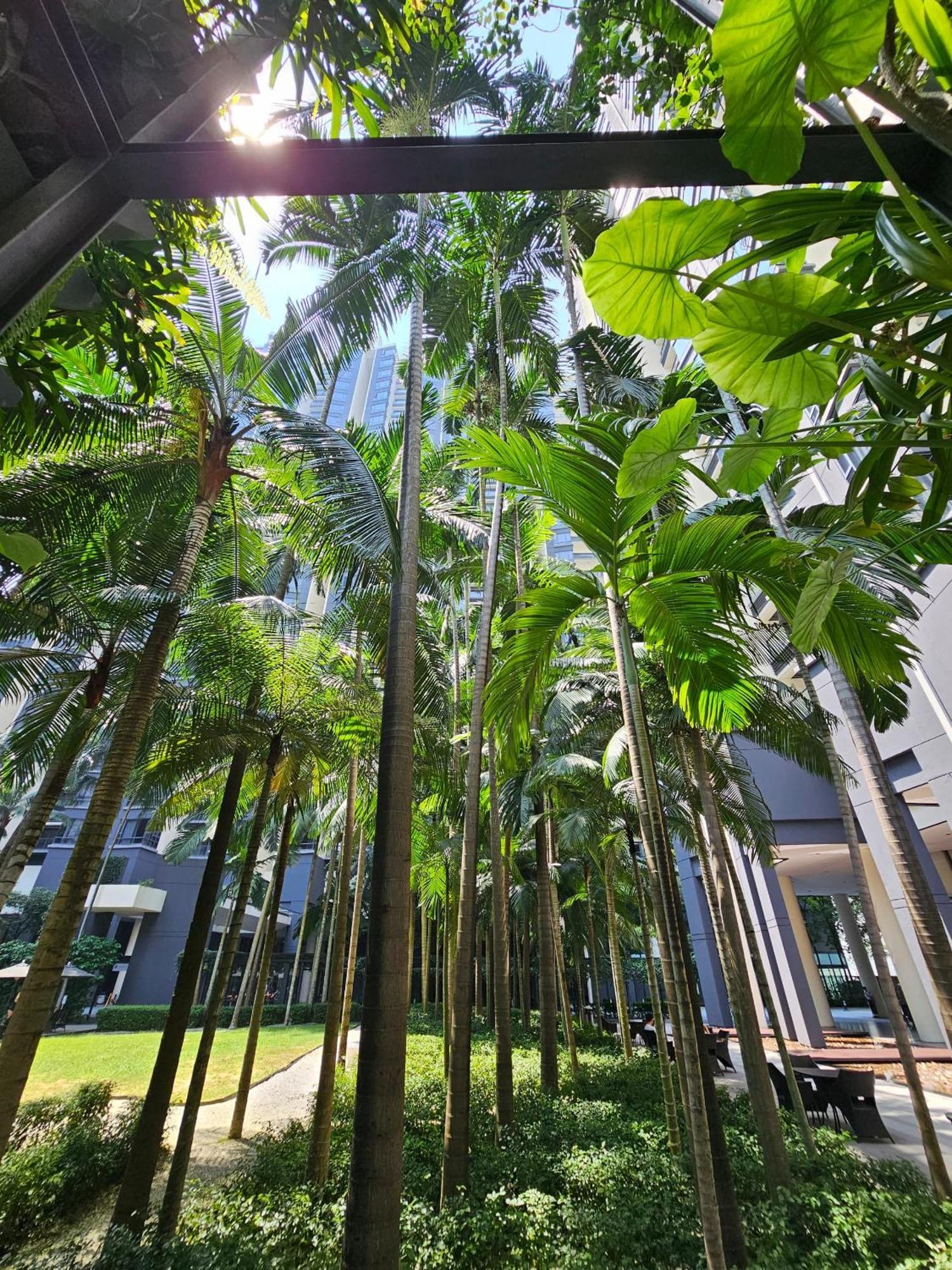 St Mary Klcc 3br6pax Twin Towers View Pangsapuri Kuala Lumpur